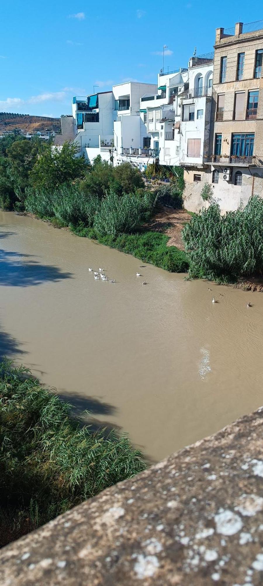 El Patio De La Cris Lejlighed Puente Genil Eksteriør billede