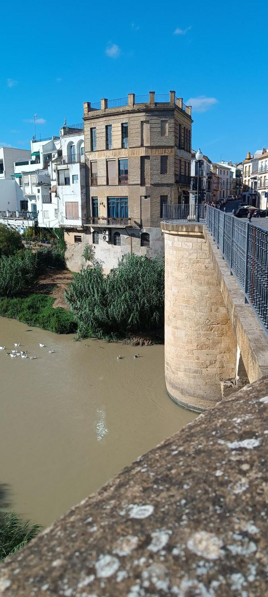 El Patio De La Cris Lejlighed Puente Genil Eksteriør billede