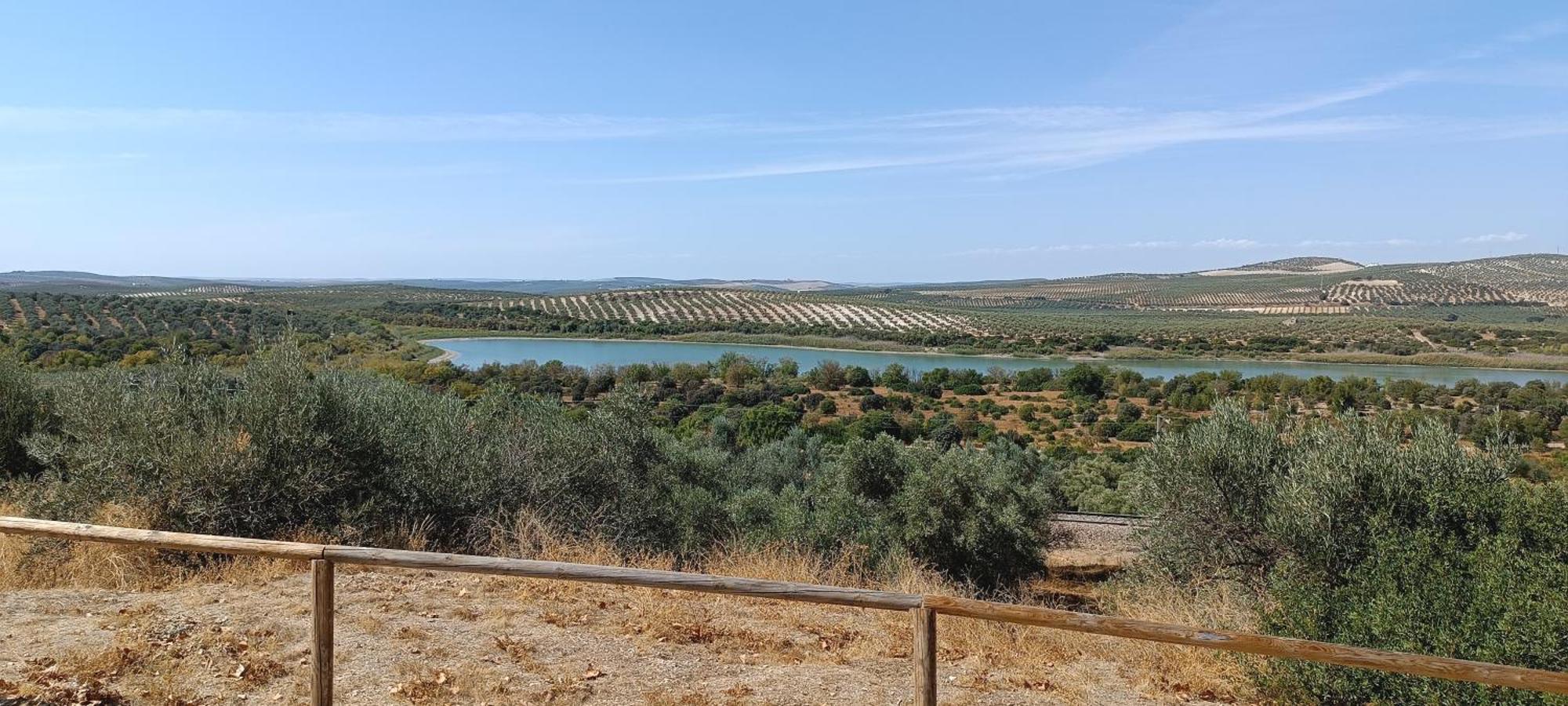 El Patio De La Cris Lejlighed Puente Genil Eksteriør billede