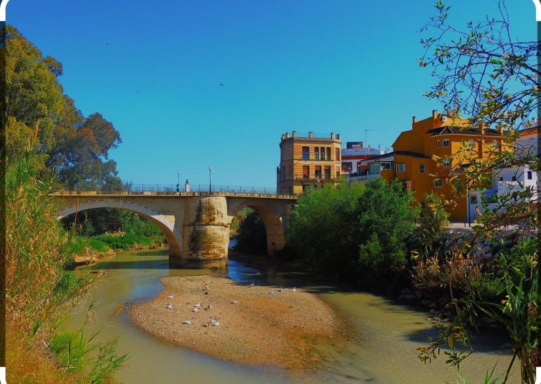 El Patio De La Cris Lejlighed Puente Genil Eksteriør billede